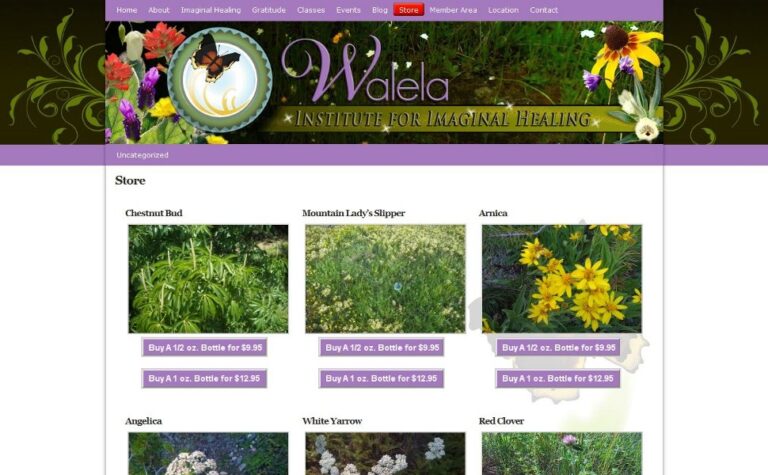 Walela Healing Institute – Website Design